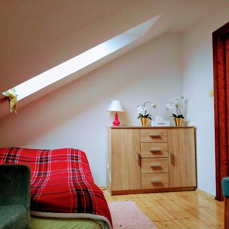 Apartament Milena 波兰尼卡-兹德鲁伊 外观 照片