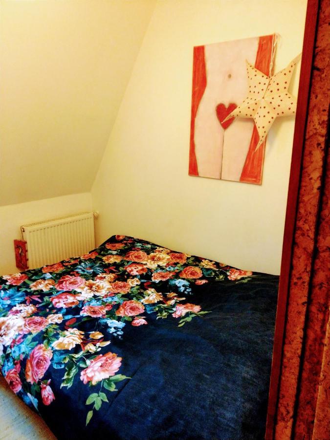 Apartament Milena 波兰尼卡-兹德鲁伊 外观 照片