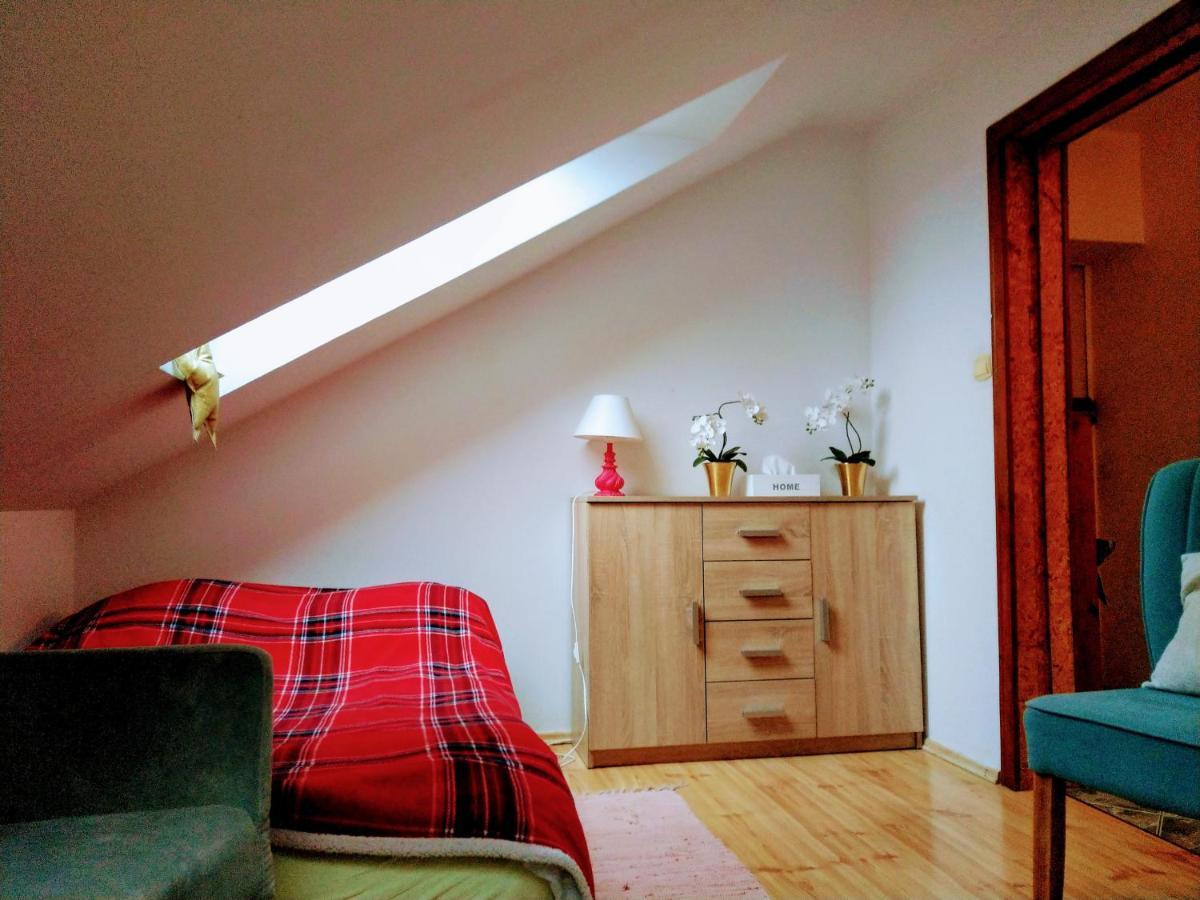 Apartament Milena 波兰尼卡-兹德鲁伊 外观 照片